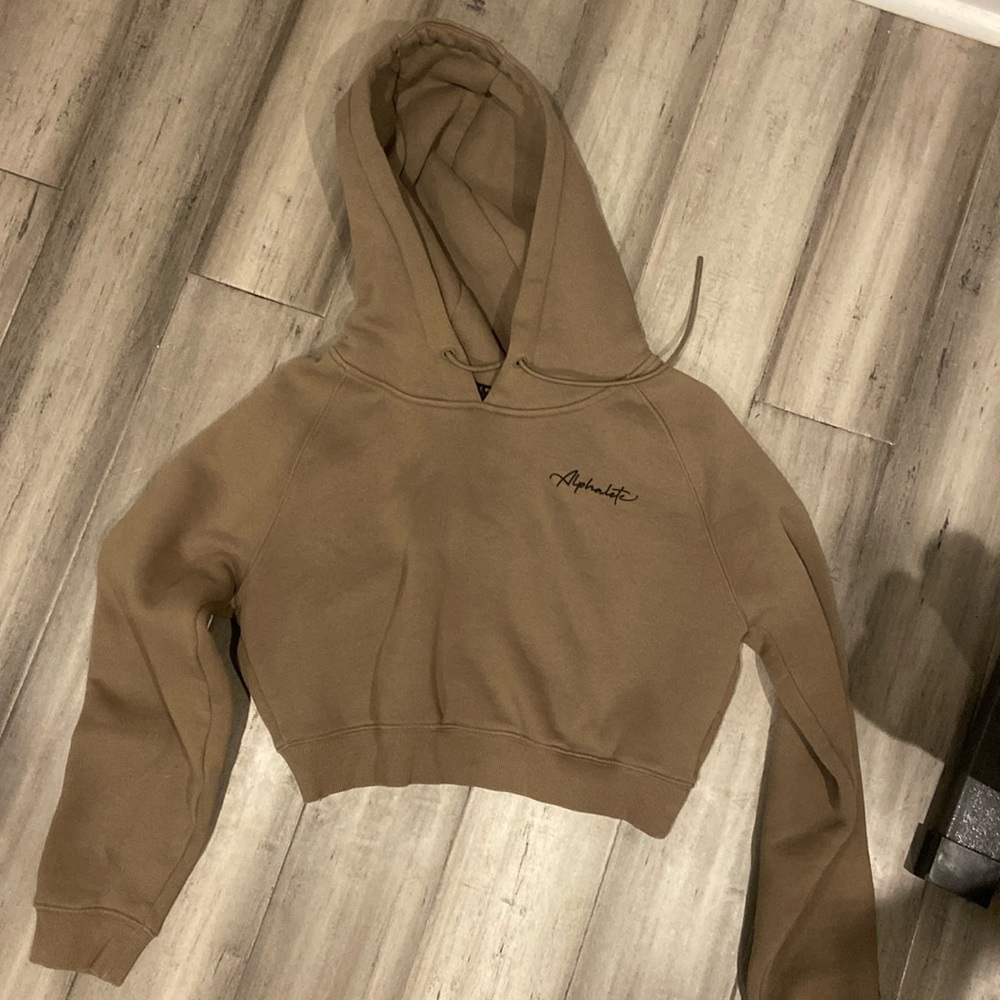 Cropped alphalete hoodie